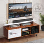 Modern TV Unit with Router Stand, Storage & Wire Management