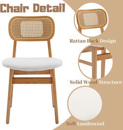 Cane Dining Set by Luxo Nation – Premium Finish for Modern Living